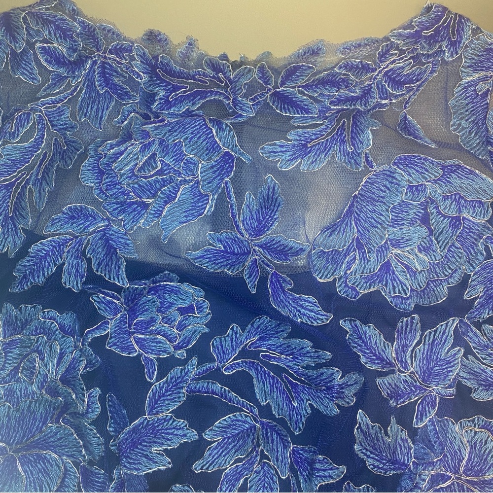 EUC TADASHI SHOJI YASMIN GOWN - SIZE 10 - Picture 3 of 15